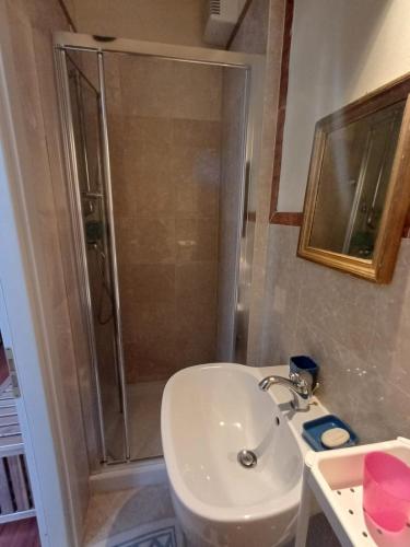a bathroom with a sink and a shower at Elegante appartamento Tirrenia in Tirrenia
