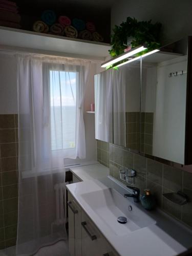 a bathroom with a sink and a mirror and a window at Studio Marylin in Rorschach