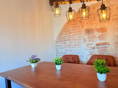a wooden table with three potted plants on it at DREAMZzz l Perfekt für Familien & Paare l Innenstadt Coburg l Parkhaus 100 Meter in Coburg