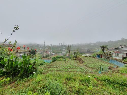 a field of crops on a hill with a town in the background at Blackpool retreat nuwaraeliya in Nuwara Eliya