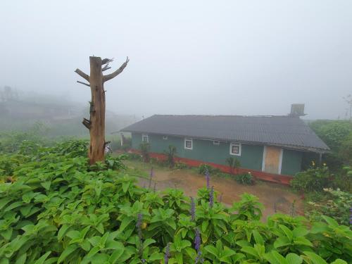 a house in the middle of a field with a tree at Blackpool retreat nuwaraeliya in Nuwara Eliya