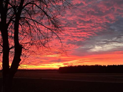 a sunset with a tree in the foreground at Ferienhaus in Thermennähe in Neudau