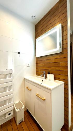 une salle de bain avec un lavabo et des toilettes dans l'établissement Airbnb à Paris-Bois de Vincennes, à Saint-Maurice