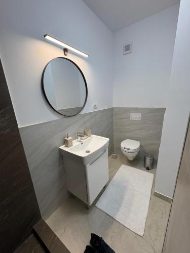 a bathroom with a sink and a mirror and a toilet at A&A Appartment 2 in Timişoara