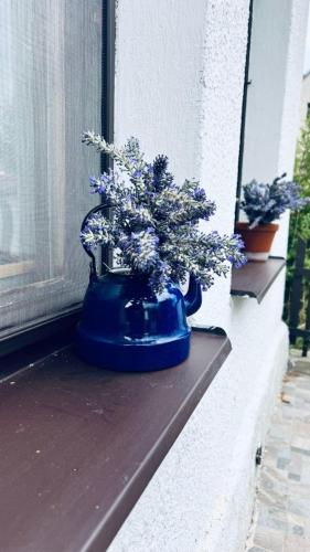 a blue vase with flowers sitting on a window sill at Chaloupka Rozmarýna in Srbce