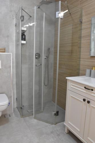 a bathroom with a shower and a toilet and a sink at כרמי הכפר in Kefar Barukh