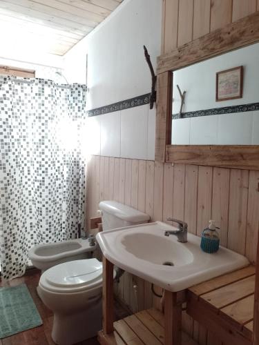 a bathroom with a sink and a toilet and a mirror at Cabaña Kultrum Mar Azul in Mar Azul