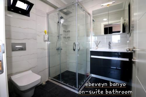 a bathroom with a shower and a toilet and a sink at Seaside villa Sunrise Sea view, fully Private Pool in Akyarlar