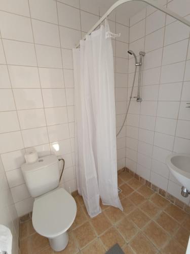 a bathroom with a toilet and a shower and a sink at Ravelin in Narva