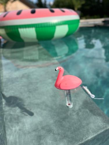 a pink flamingo toy in a swimming pool at Apartment Relax - Stubenbergsee in Stubenberg
