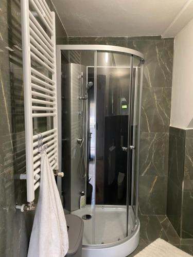 a bathroom with a shower and a toilet at Apartman HC MAKSIMIR REBRO CENTAR in Zagreb