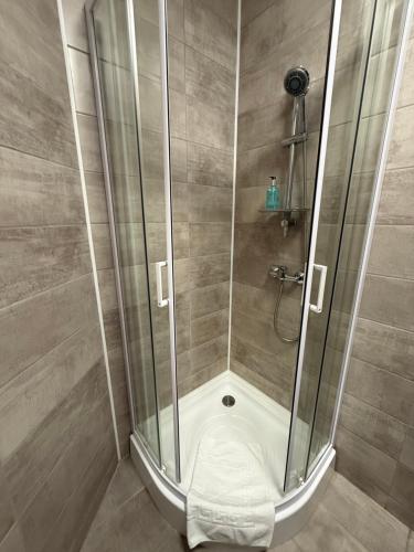 a shower with a glass door in a bathroom at Cabana Rares in Ranca