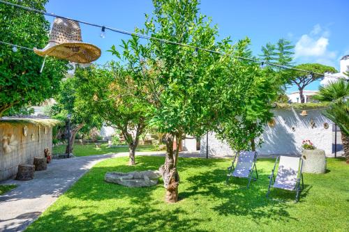 Vườn quanh Garden apartments Ischia super centrale