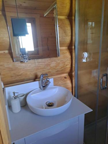 a bathroom with a white sink and a shower at Dylewska Widokówka in Pietrzwałd