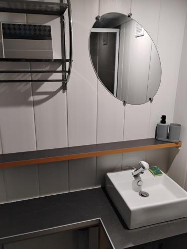 a bathroom with a sink and a mirror at Cottage in Vaumort