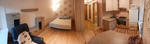 a kitchen and a living room with a bed at Gimnazijos apartamentai in Biržai
