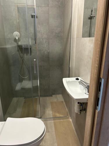 a bathroom with a shower and a toilet and a sink at Mieszkanie na Lawendowej in Kraków