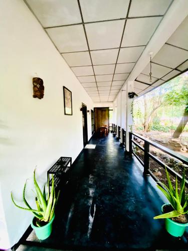 a corridor of a building with potted plants at Zensigiri Ayurveda Wellness Homestay in Sigiriya