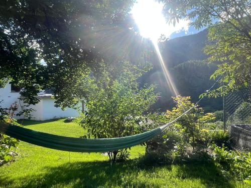a hammock in a garden with the sun shining at Bed and Breakfast Il Cardellino in San Carlo