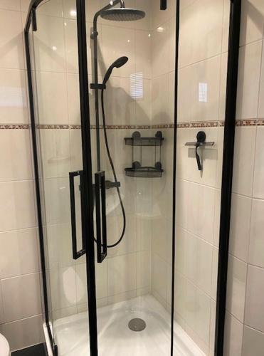 a shower with a glass door in a bathroom at De Reesterhoeve in Balkbrug