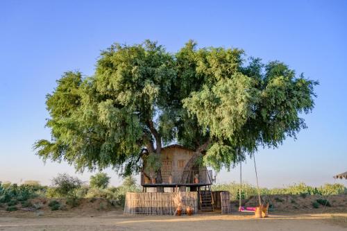 Galería fotográfica de Karwaan Jaisalmer en Sām