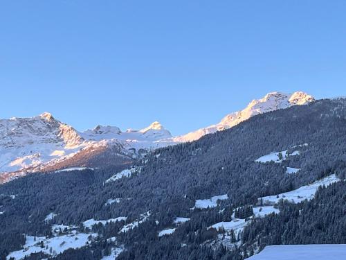 a view of a mountain range with snow and trees at Bed and Breakfast Il Cardellino in San Carlo