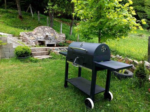 a grill sitting in the grass in a yard at TARA Vila Rajak in Zaovine
