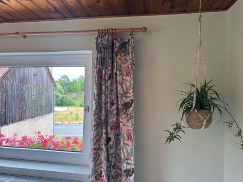 Taman di luar Ferienhaus Glücklich am Bach