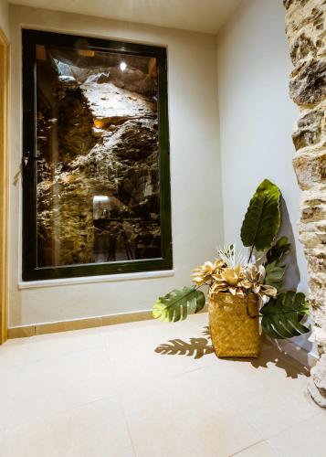 a large window in a room with a potted plant at Traditional Apartments Elafos in Elafonisi