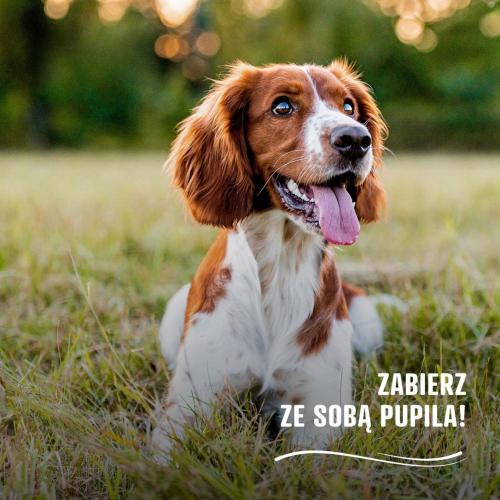Domácí mazlíčci ubytovaní s hosty v ubytování Apartamenty wśród drzew River Park