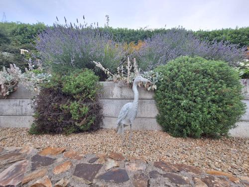 a statue of a bird standing in front of bushes at Tullydish in Kilmacanoge