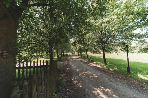 a tree lined road with a fence and trees at Polana Sosny in Niedzica Zamek