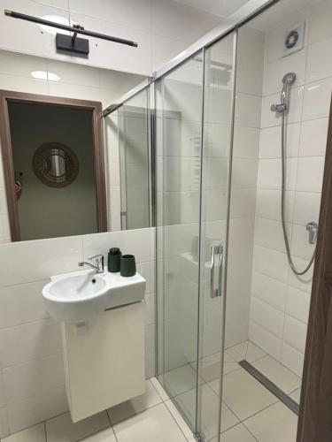 a bathroom with a sink and a shower at Apartament Grzmięca pl in Grzmięca