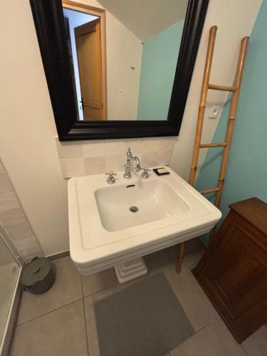 a bathroom with a sink and a mirror at Gîte au coeur de la forêt in Saint-Parize-le-Châtel