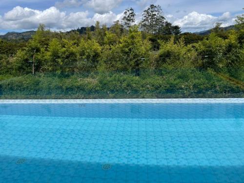 a blue swimming pool with a view of a forest at Suite Casa Grande in Rionegro