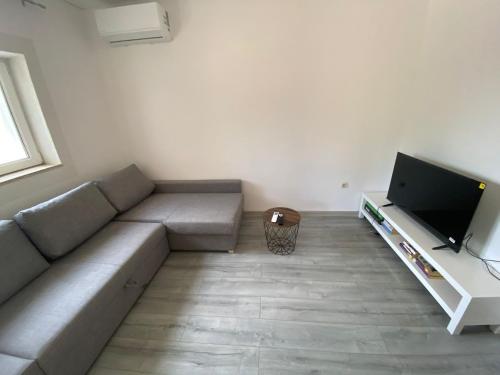 TV a/nebo společenská místnost v ubytování Apartment MiA with WIFi and private garden