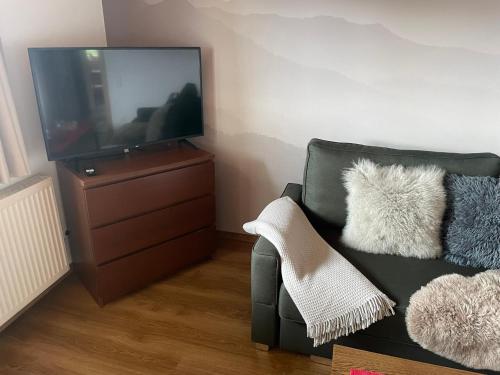 a living room with a couch and a television at Apartmány nad Šlikovkou in Jáchymov