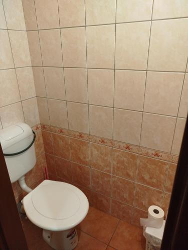 Bilik mandi di Apartmány pod Barunčinou školou