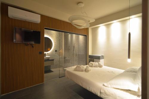 a bedroom with a bed and a shower and a television at Esse Elegant house - B&B dal Design moderno, accoglienza esclusiva in Paganica