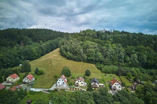 a group of houses on a hill with trees at Apartmán Svoboda in Svoboda nad Úpou