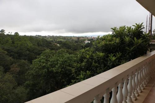 a balcony with a view of the trees at Hospedaje Migue y Cata y Centro Holístico Kuatlicue in Chignahuapan