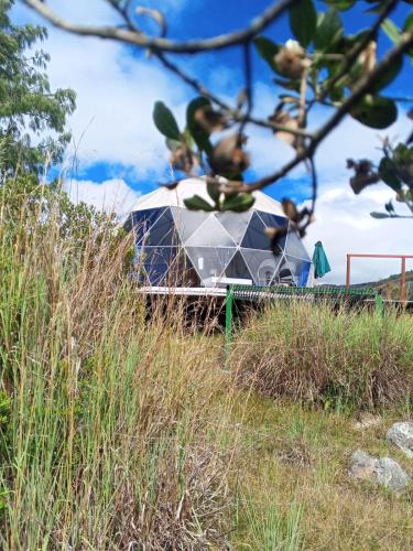 a tent in the middle of a field of grass at Hospedaje Mafer in Guatavita