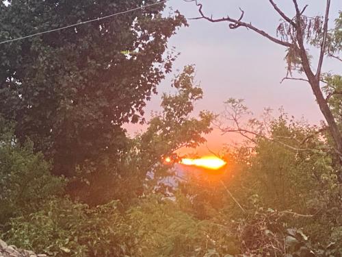 a sunset seen through the trees with a street light at La Quercia in San Benedetto Val di Sambro