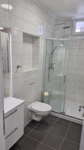 a bathroom with a toilet and a shower and a sink at Damir A4 in Selce