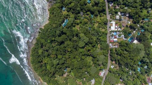 an aerial view of a forest next to the ocean at Aloki Kire 2 Un oasis moderno cerca del mar Caribe in Talamanca