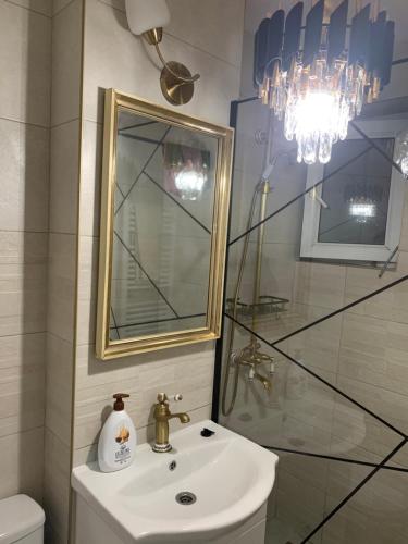 Koupelna v ubytování Slatina Cornisiei apartament central 2 camere și living