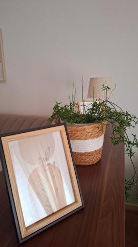 a framed picture on a table with a plant at Apartman v&n in Vranješ