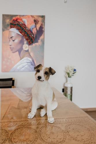 Domácí mazlíčci ubytovaní s hosty v ubytování Evexia boutique hotel & Spa