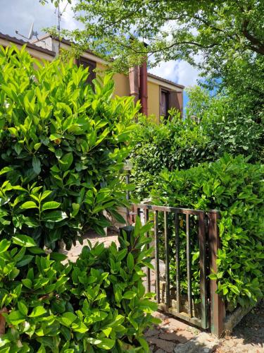 Un jardín fuera de Rêverie Amatrice