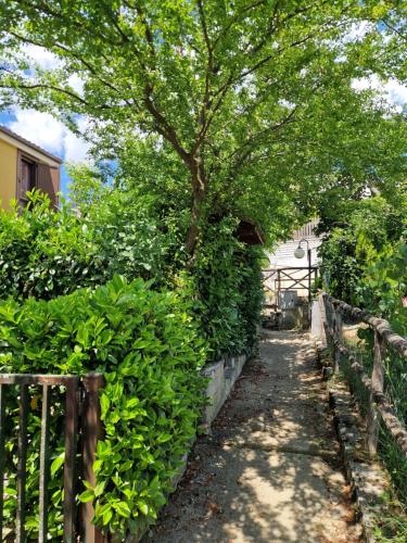 Un jardín fuera de Rêverie Amatrice